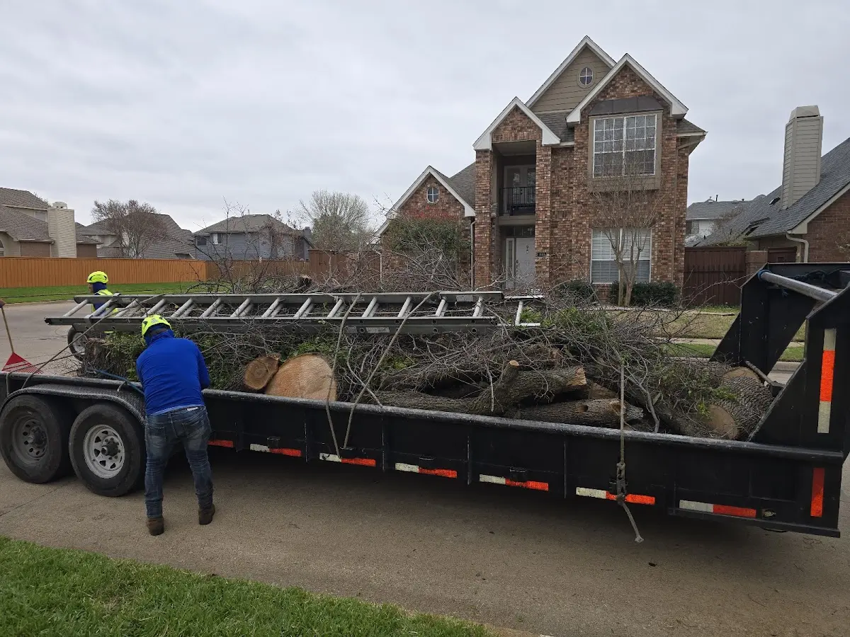 Expert Tree Pest Control with proper safety equipment in Wilmore